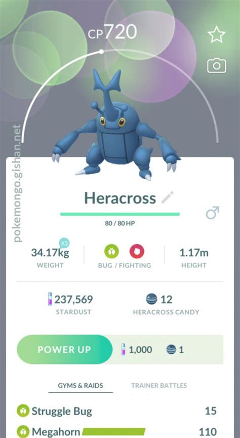 heracross stats|pokemon go heracross spawn locations.